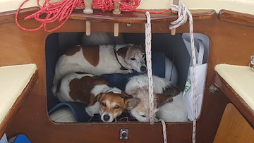 Will this rain ever stop Mum?